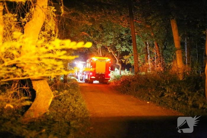 Hulpdiensten onderzoeken vreemde lucht in bosgebied