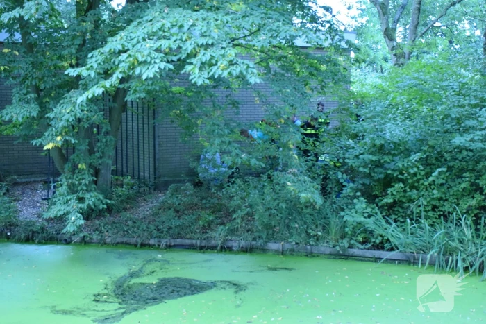 Omstanders redden dronken man uit water