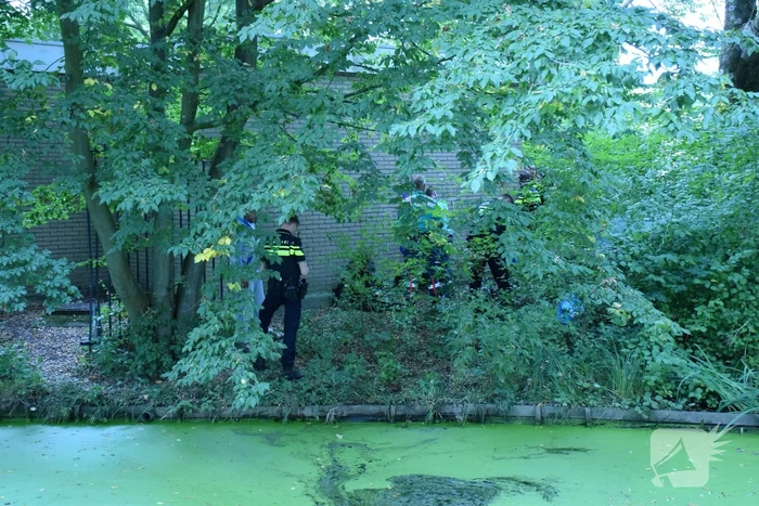 Omstanders redden dronken man uit water