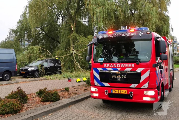 natuur spaaksingel ede