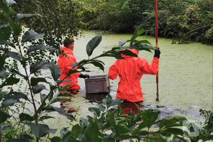 Brandweer haalt gestolen tas uit water