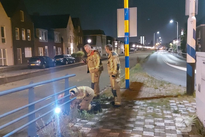 Kat raakt te water