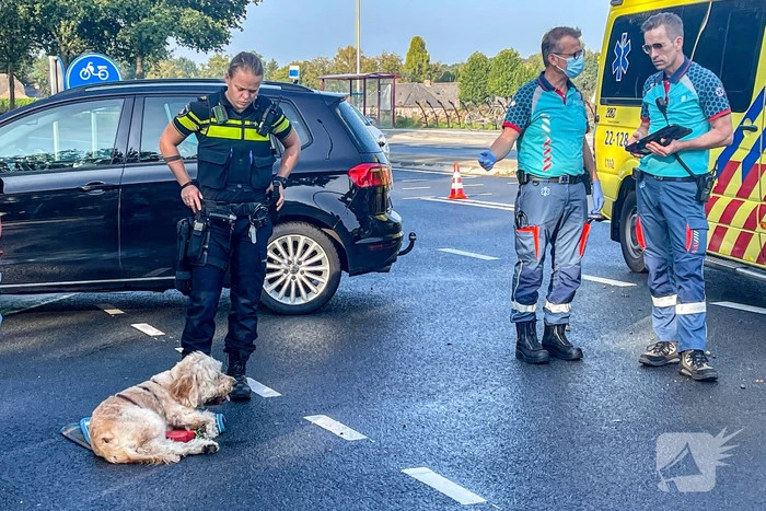 ongeval hoofakker - n615 lieshout