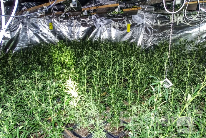 nieuws floresstraat oegstgeest
