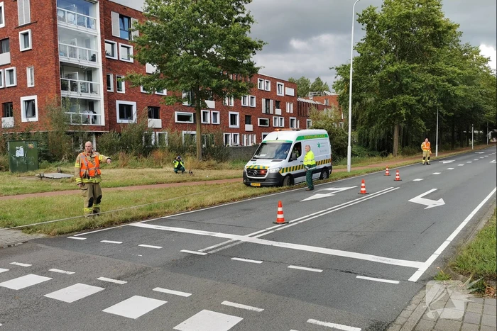 nieuws nijenoord allee wageningen