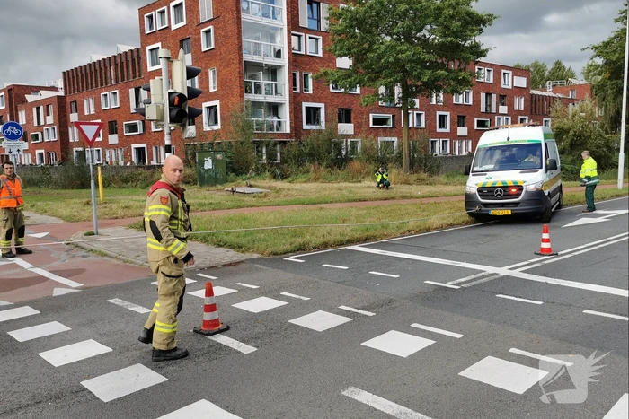 Brandweermannen schieten dierenambulance te hulp