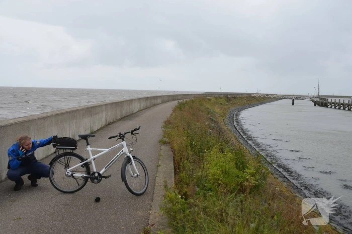 Gespotte walrus trekt veel bekijks