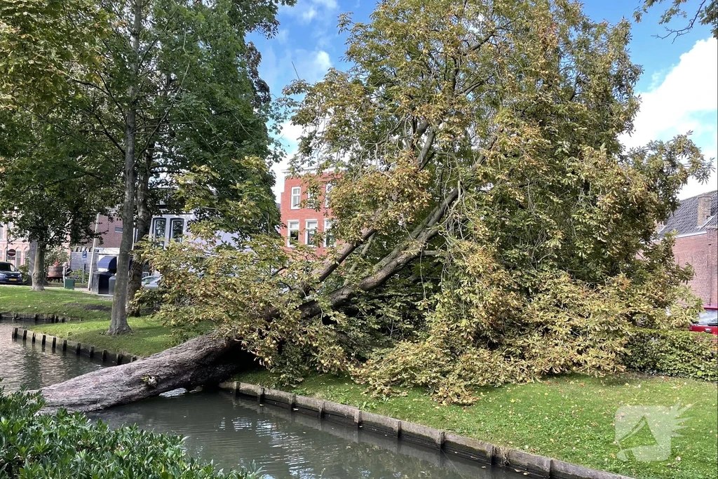 Koestraat Nieuws Schoonhoven 