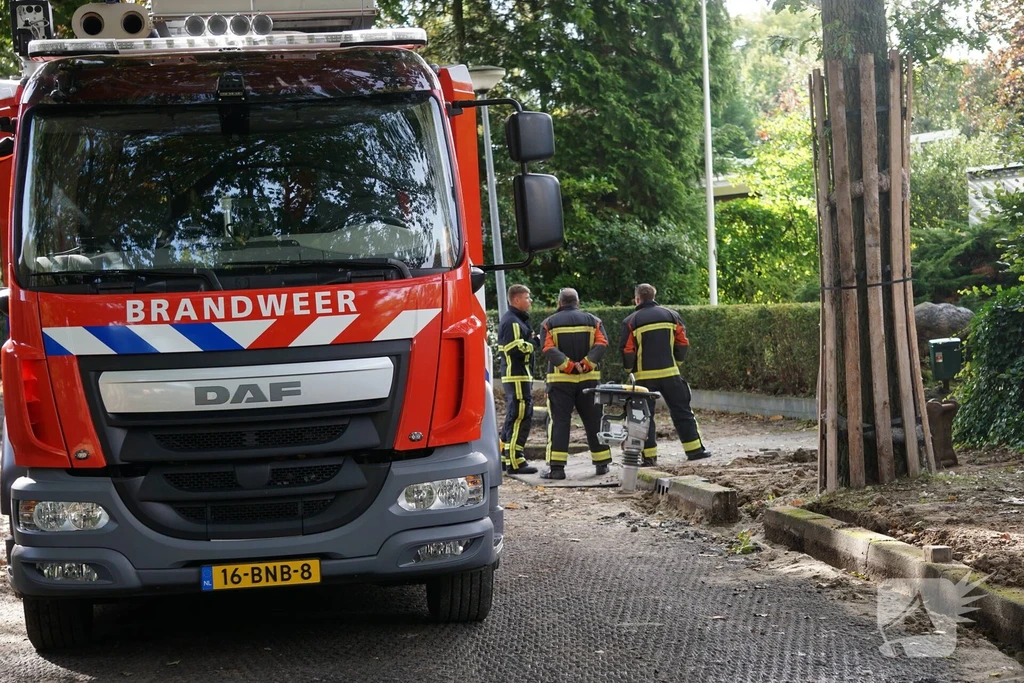Hondsruglaan Nieuws Groningen 