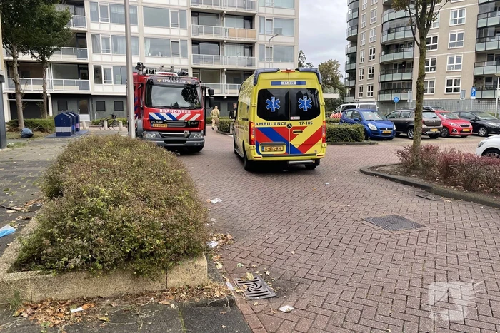 milieu neptunusstraat spijkenisse
