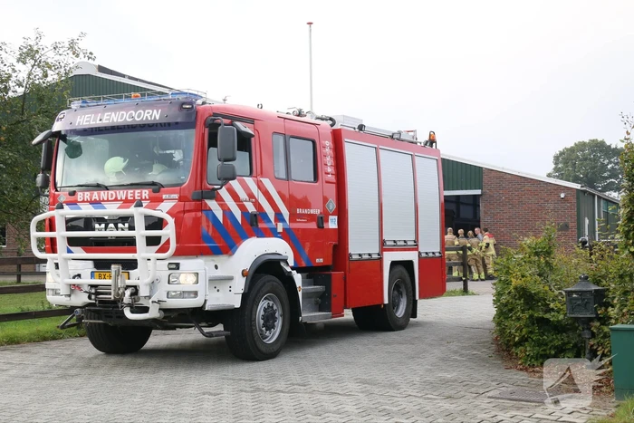 Brandweer bevrijdt paard uit benarde positie