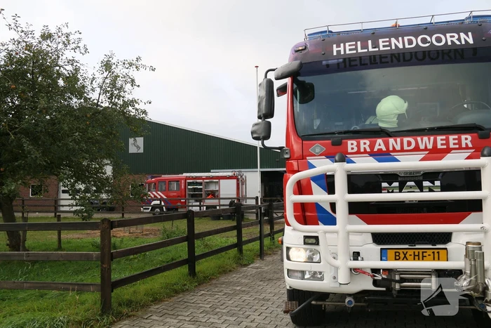 Brandweer bevrijdt paard uit benarde positie