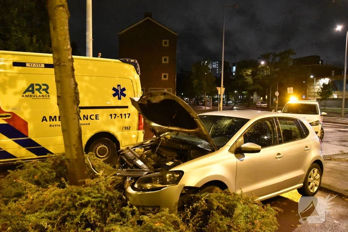 Automobilist ramt boom in middenberm