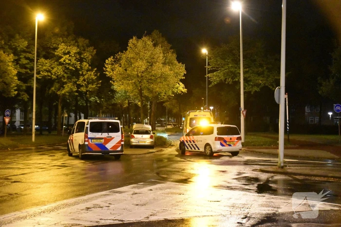 Automobilist ramt boom in middenberm