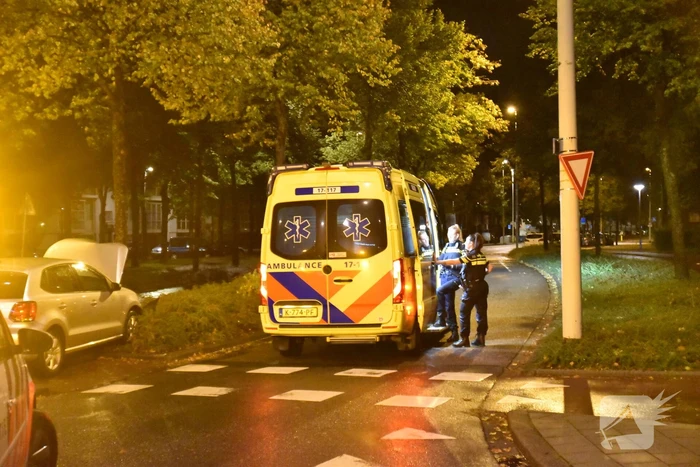 Automobilist ramt boom in middenberm