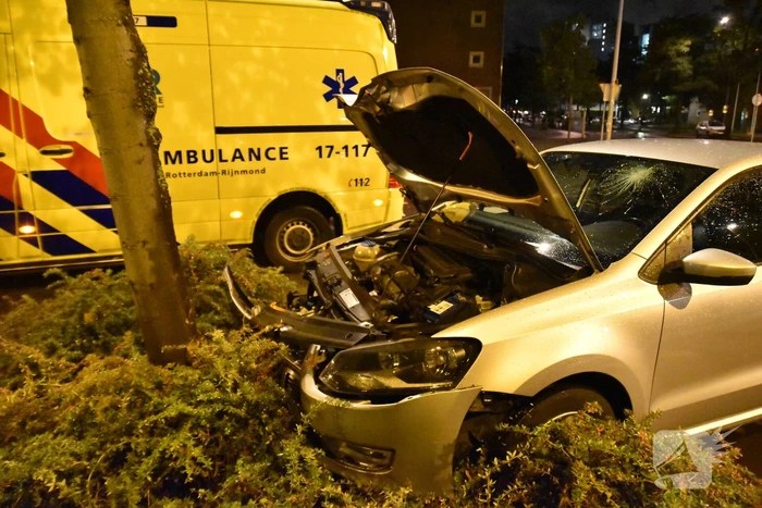 Automobilist ramt boom in middenberm