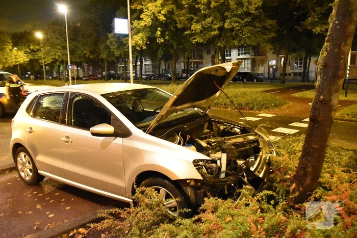 Automobilist ramt boom in middenberm