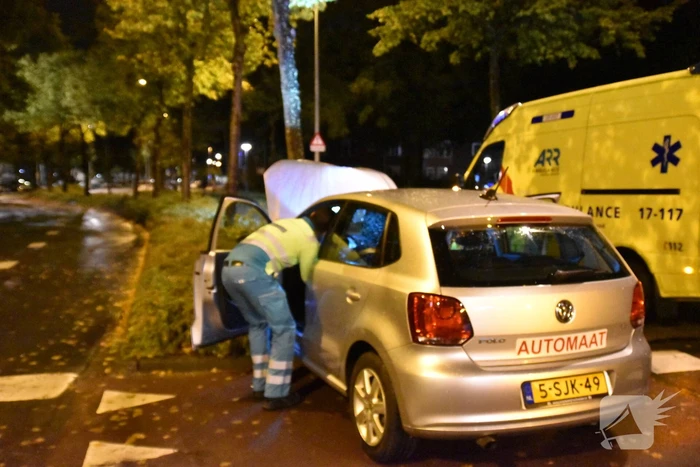 Automobilist ramt boom in middenberm