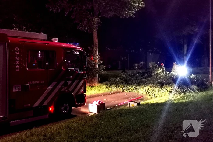 Gevaarlijk hangende tak uit boom gehaald