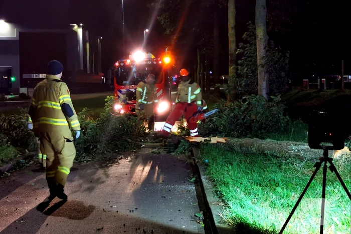Gevaarlijk hangende tak uit boom gehaald