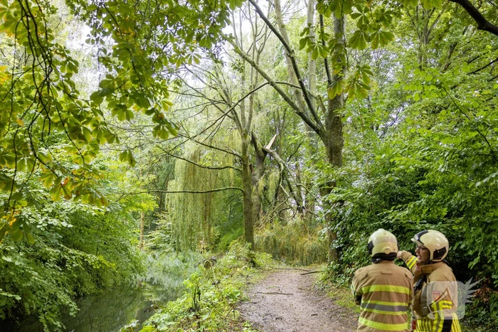 natuur larikslaan leusden
