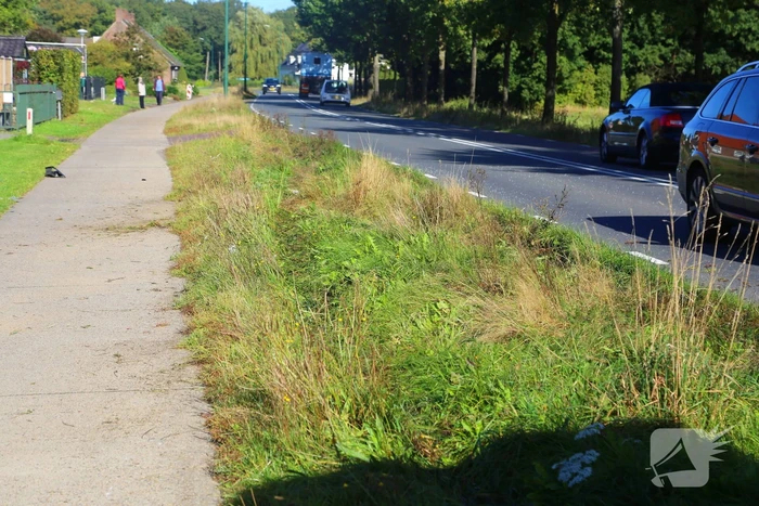 Bestuurder bestelbus rijdt lantaarnpaal uit de grond