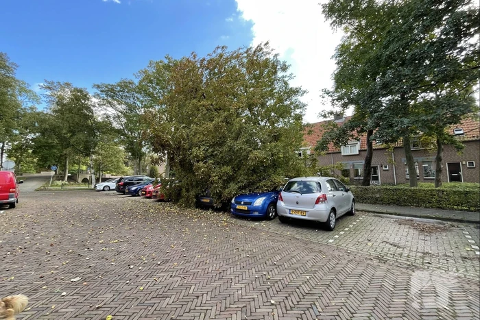 Boom valt op geparkeerde auto's