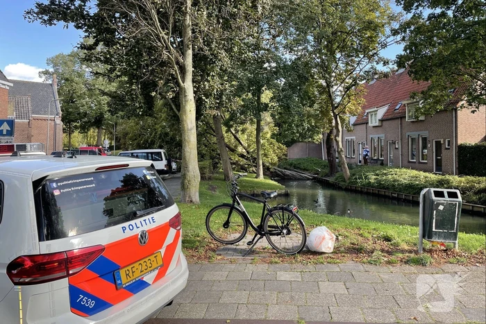 Boom valt op geparkeerde auto's