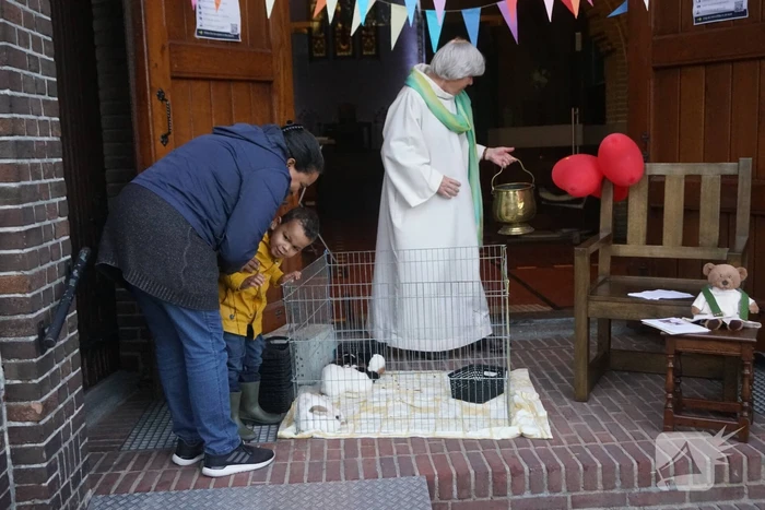 Huisdieren krijgen zegening op Dierendag