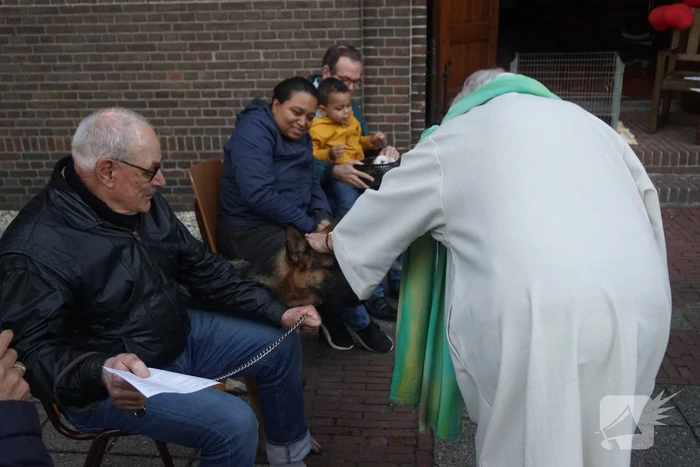 Huisdieren krijgen zegening op Dierendag