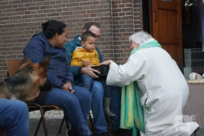 Huisdieren krijgen zegening op Dierendag