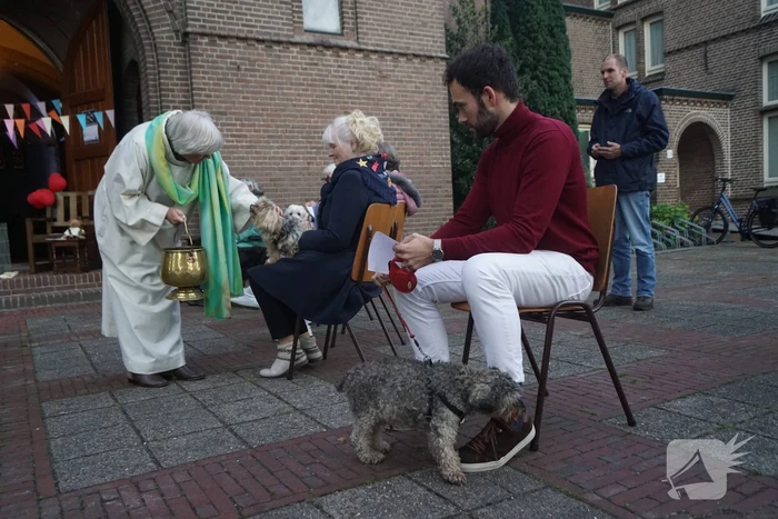 Huisdieren krijgen zegening op Dierendag