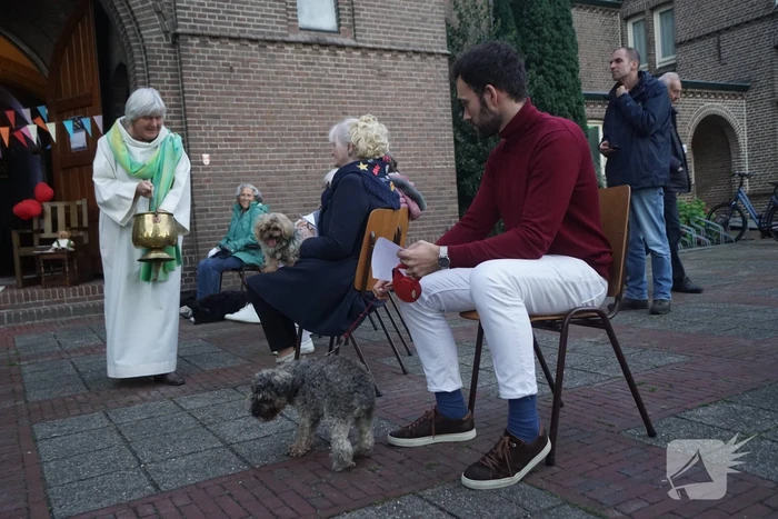 Huisdieren krijgen zegening op Dierendag