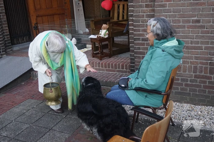 Huisdieren krijgen zegening op Dierendag
