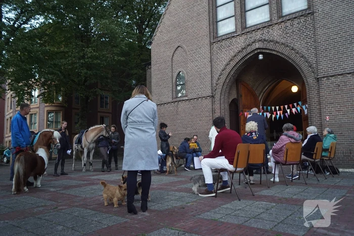 Huisdieren krijgen zegening op Dierendag