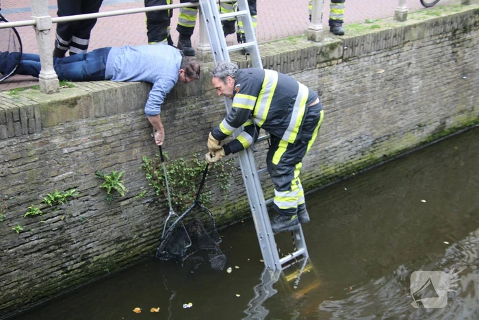 Brandweer bevrijdt kat uit gracht