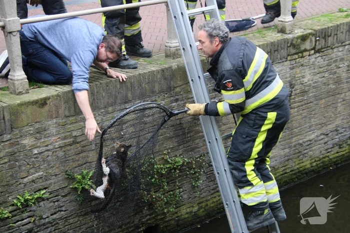 Brandweer bevrijdt kat uit gracht