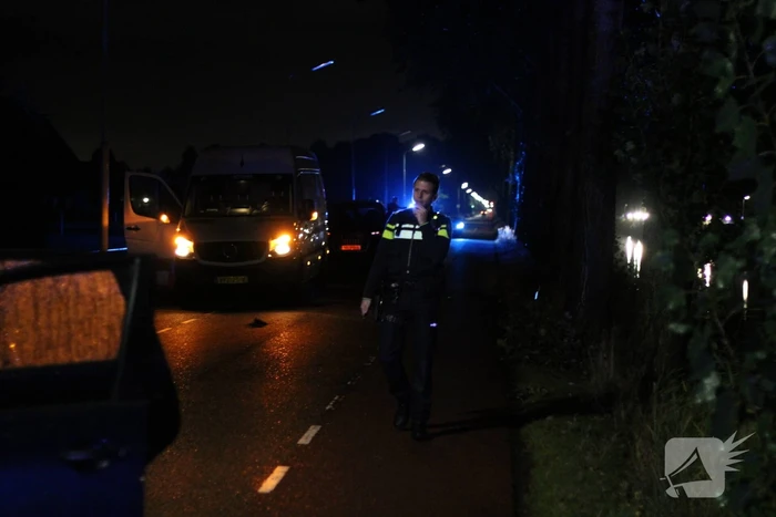 Personenauto botst tegen boom en vliegt in brand