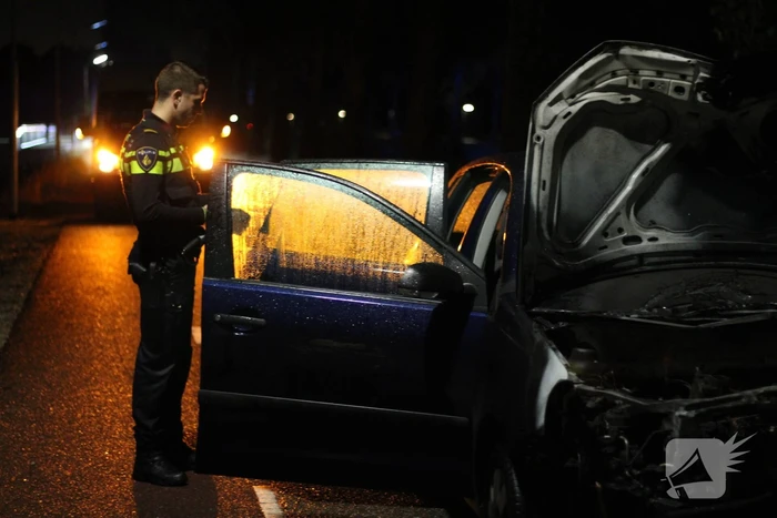 Personenauto botst tegen boom en vliegt in brand