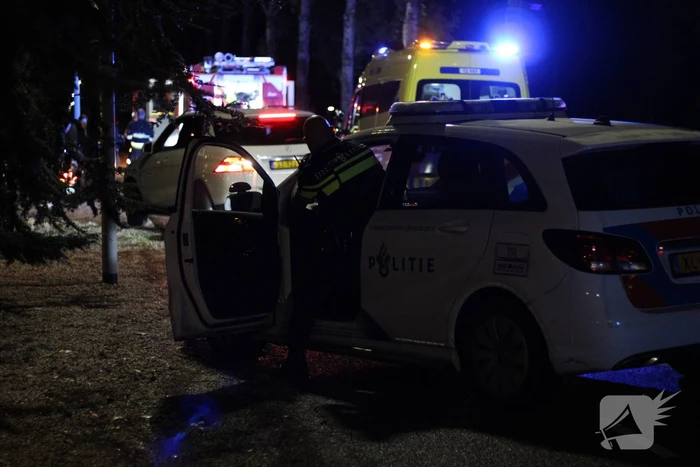 Personenauto botst tegen boom en vliegt in brand