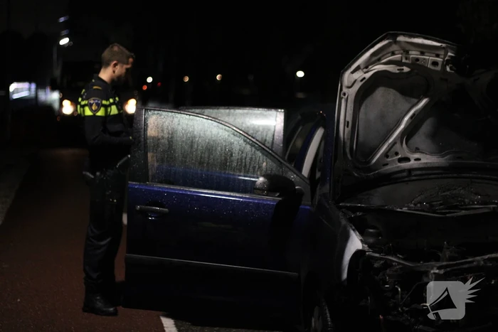 Personenauto botst tegen boom en vliegt in brand