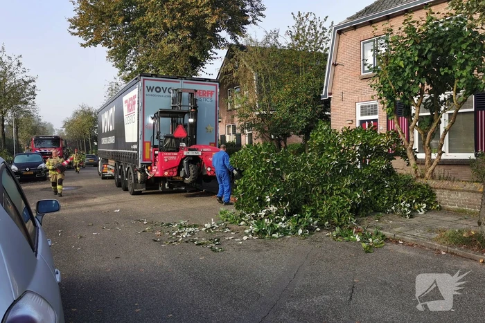 Vrachtwagen raakt boom