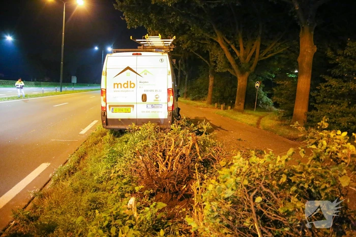 Bestelbus rijdt in struiken