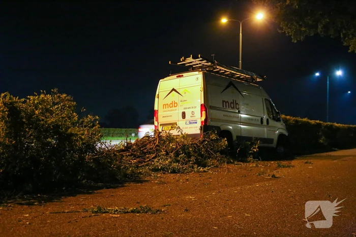 Bestelbus rijdt in struiken