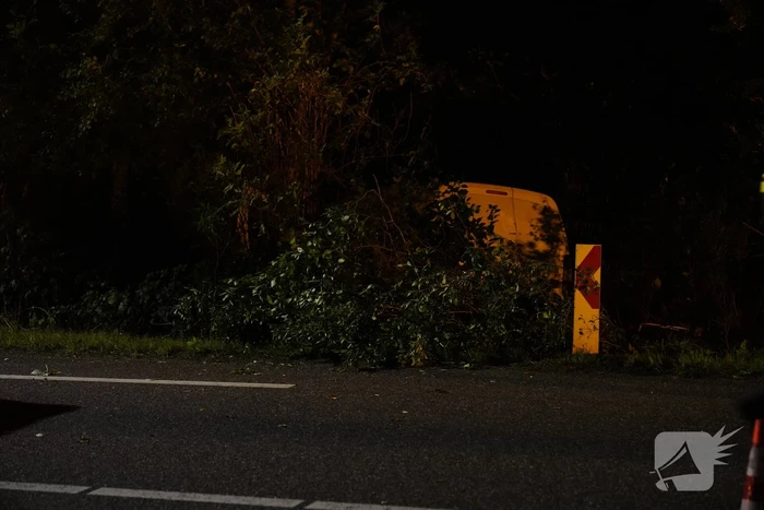 Beschonken bestuurder rijdt tegen lantaarnpaal aan