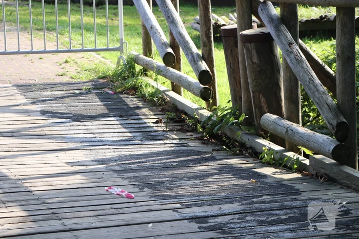 Brug zakt in tijdens marathonloop