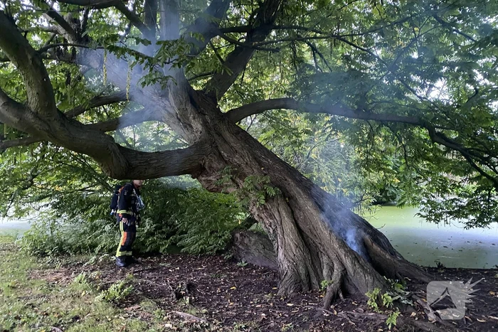 Brand in holle boom