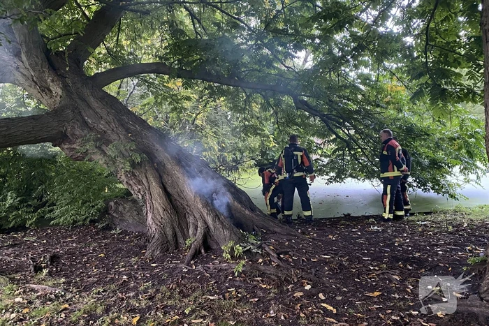 Brand in holle boom