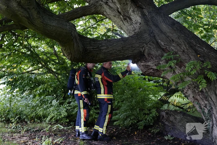 Brand in holle boom