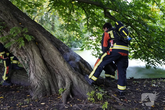 Brand in holle boom